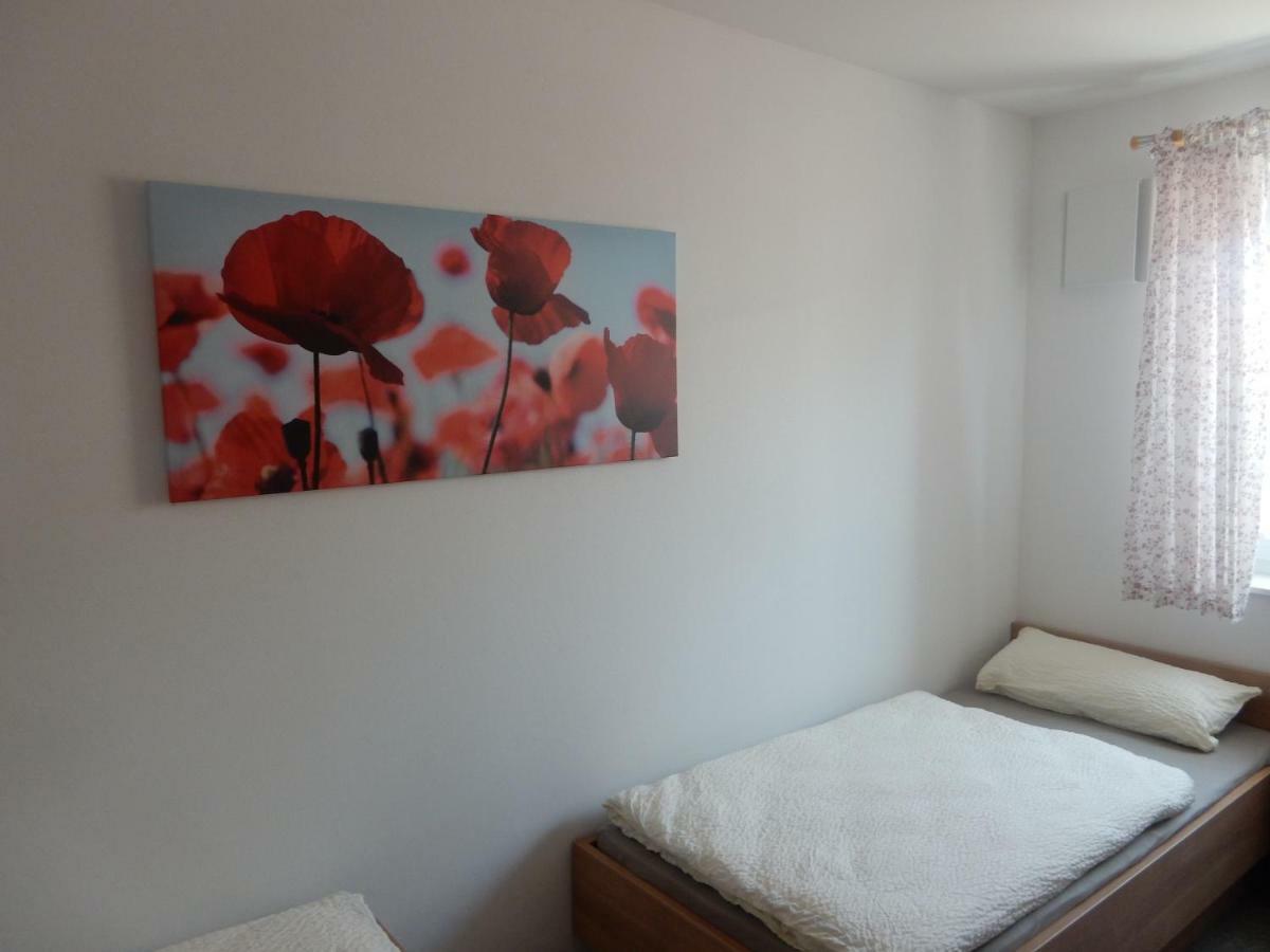 Beim Kellerschneider Eg Apartment Gundelfingen an der Donau Exterior photo